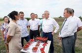 Глава региона распорядился создать новый механизм поддержки успешных хозяйств Глава региона распорядился создать новый механизм поддержки успешных хозяйств