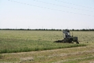 Сельскохозяйственные предприятия Малосердобинского района приступили к заготовке кормов