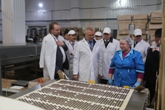 Глава региона поручил усилить поддержку новых видов выпускаемой продукции сельхозпереработки Глава региона поручил усилить поддержку новых видов выпускаемой продукции сельхозпереработки