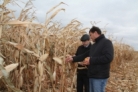 В Пензенской области будет увеличено производство кукурузы на зерно