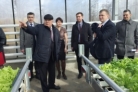 Представители Министерства экономики ознакомились с инвестиционным потенциалом Шемышейского района Представители Министерства экономики ознакомились с инвестиционным потенциалом Шемышейского района