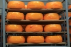 Пензенская область лидирует в ПФО по приросту производства сыров и сырных продуктов Пензенская область лидирует в ПФО по приросту производства сыров и сырных продуктов