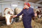 Пензенская область получит субсидию на создание и модернизацию молочных ферм Пензенская область получит субсидию на создание и модернизацию молочных ферм