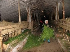 Аграрии региона могут принять участие в конкурсах на лучшую семейную животноводческую ферму и лучшее крестьянско-фермерское хозяйство