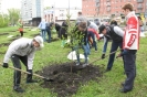 В Пензенской области посадят более 300 тысяч деревьев в рамках массовой акции «Зеленая волна»