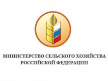 Невостребованные доли сельхозземель могут отдать в собственность муниципалитетов Невостребованные доли сельхозземель могут отдать в собственность муниципалитетов