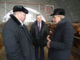 Сенатор Олег Мельниченко изучил проблемы сельских товаропроизводителей Сенатор Олег Мельниченко изучил проблемы сельских товаропроизводителей