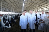 Губернатор посетил строящийся молочно-товарный комплекс, который станет крупнейшим в России Губернатор посетил строящийся молочно-товарный комплекс, который станет крупнейшим в России